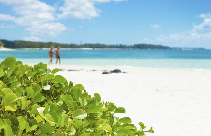 Full Day Cat Speed on the South East Coast of Mauritius - Good To Know