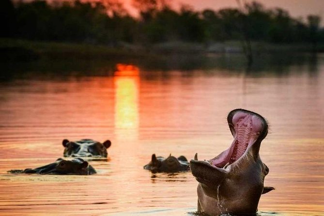 Full Day Chobe Trip