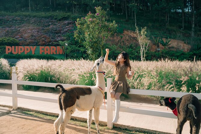 Full-Day Highlight of Da Lat –The Famous Tourist Attractions 2024 - Good To Know