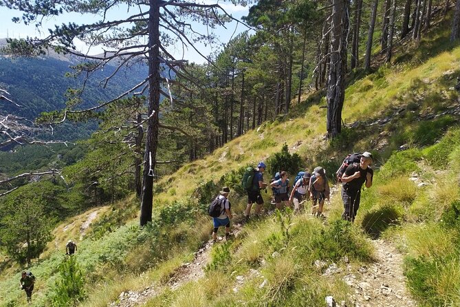 Full Day Hiking at Qorre Peak Llogara National Park - Good To Know