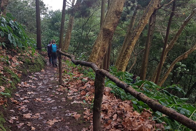 Full Day Hiking Trail Waterfalls- in Lomba De São Pedro - Azores - Good To Know