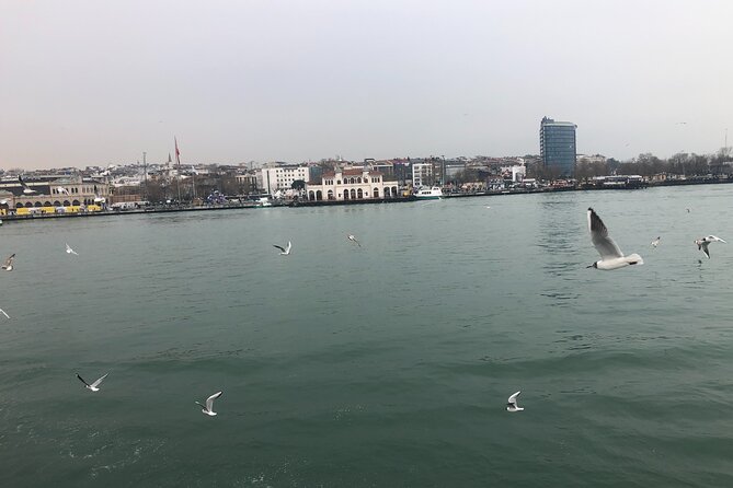 Full Day Istanbul Bosphorus Cruise and Dolmabahce Palace Tour - Good To Know