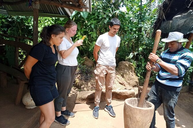 Full Day Materuni Water Falls, Hiking and Coffee Making Tour in Moshi