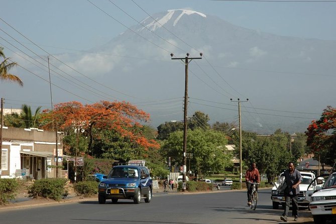 Full-Day Moshi Private Forest Walk and Local Market Tour - Good To Know