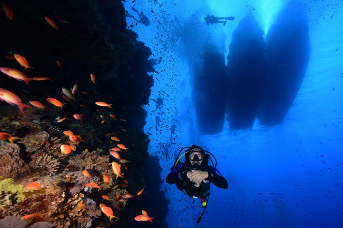 Full Day on Boat With 2 Dives in the Marine Parks of Sharm