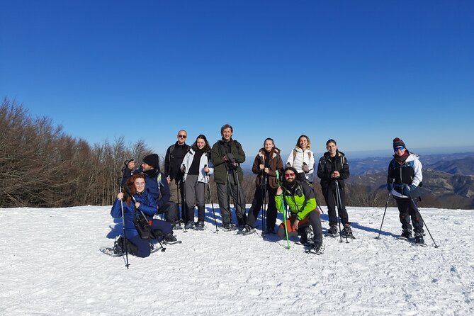 Full-Day Private Hike in Foreste Casentinesi National Park - Meeting and Pickup Information