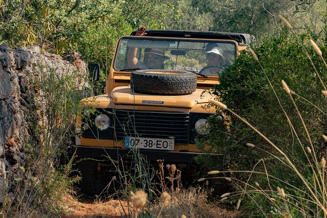 Full Day Private Safari in Algarve - Good To Know