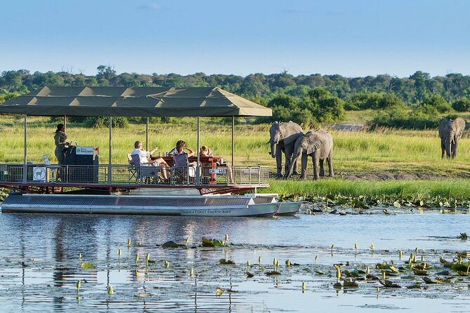 Full Day Private Tour in Chobe - Good To Know