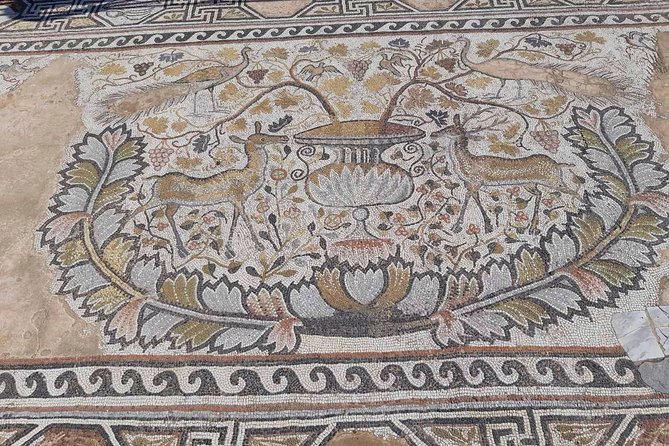 Full-Day Private Tour to Ohrid and Bitola From Skopje - Good To Know