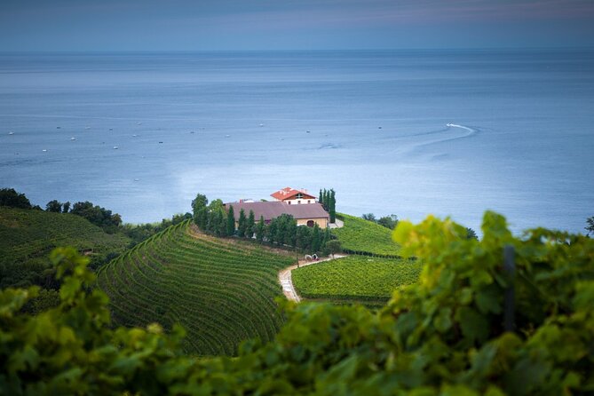 Full Day Private Tour With Txakoli Tasting in Sebastian & Getaria - Good To Know