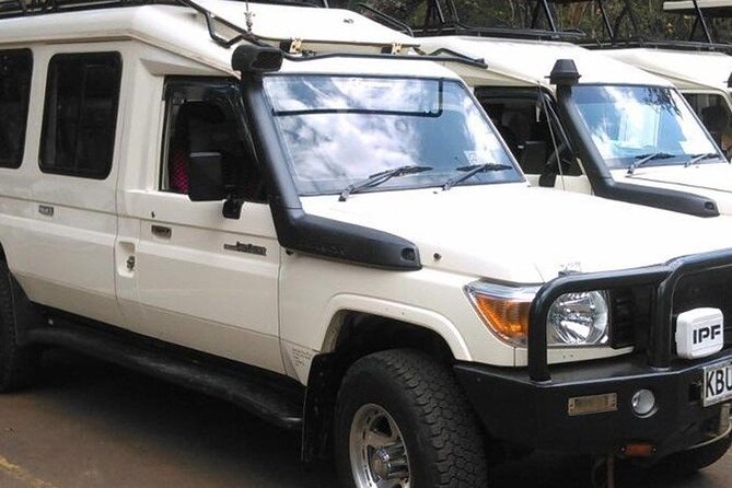 Full-Day Private Transfer in Nairobi - Good To Know