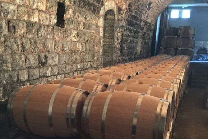Full-Day Private Wine Tasting Tour to Chateau Musar and Ixsir Winery - Tour Highlights