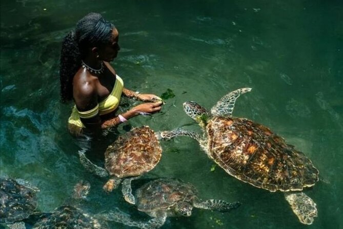 Full Day Private Zanzibar Tour With Sunset Beach - Good To Know