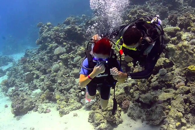Full-Day Snorkeling Boat Trip to Tiran Island With Lunch