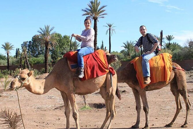 Full-Day Tour From Marrakech to the Imlil & Toubkal Valley - Good To Know