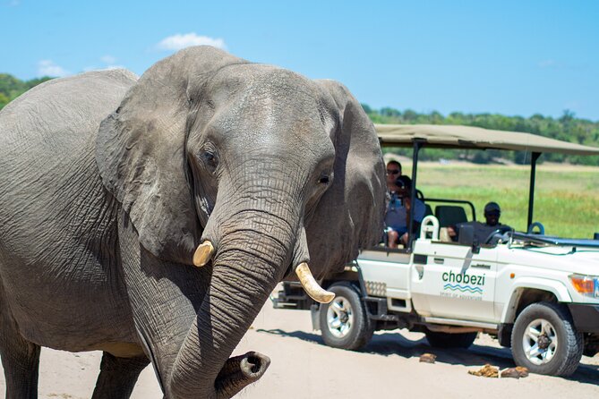 Full Day Tour to Chobe and Botswana From Victoria Falls - Good To Know