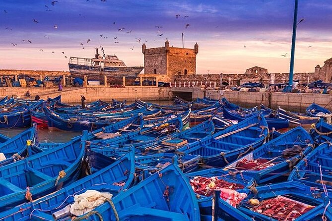 Full Day Tour to Essaouira From Marrakech - Good To Know