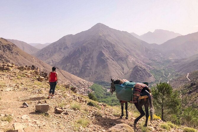 Full Day Trek in Toubkal Imlil Valley and Aremd - Good To Know