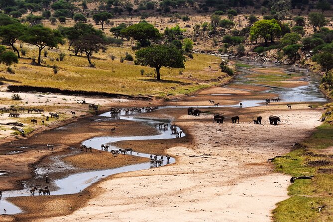 Full- Day Trip to Tarangire National Park From Arusha