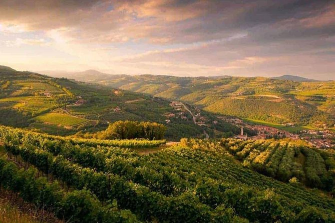 Full-Day Valpolicella Private Tour From Milan With Wine Taste - Good To Know