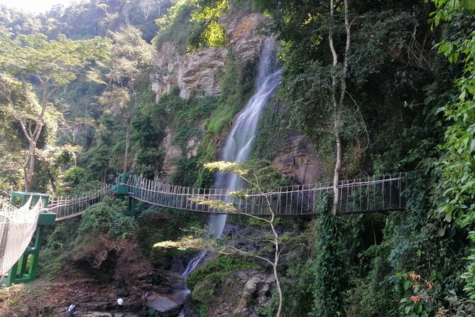 Full-Day Volta Experience ( Mount Gemi and Monkey Sanctuary) Private Tour