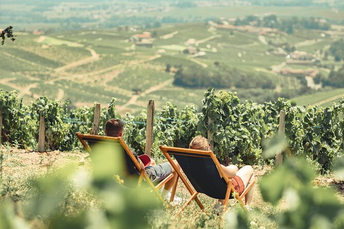 Full Day Wine and Food Tour From Lyon in Beaujolais