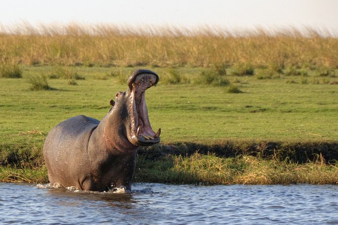 Game Drive in the Mosi-Oa-Tunya National Park From Livingstone - Good To Know