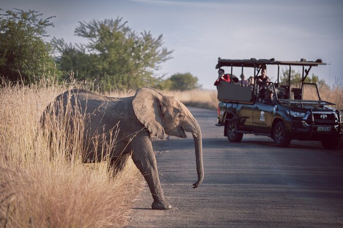 Game Drive in Zimbabwe - Good To Know