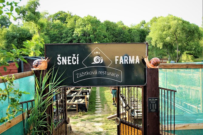 Gastrotour: Snail'S Farm With Degustation - Good To Know