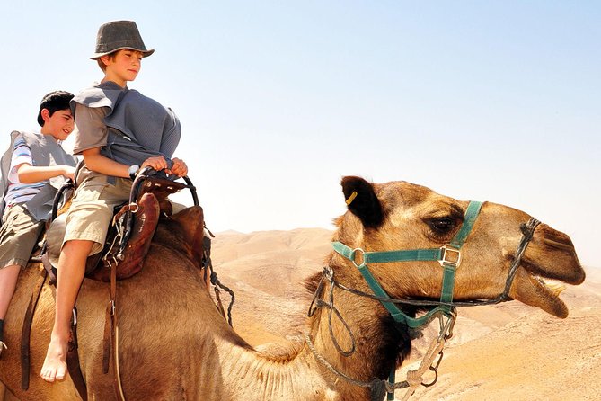 Gokedem Premium Off-Road Masada & Deadsea Adventure From Jerusalem