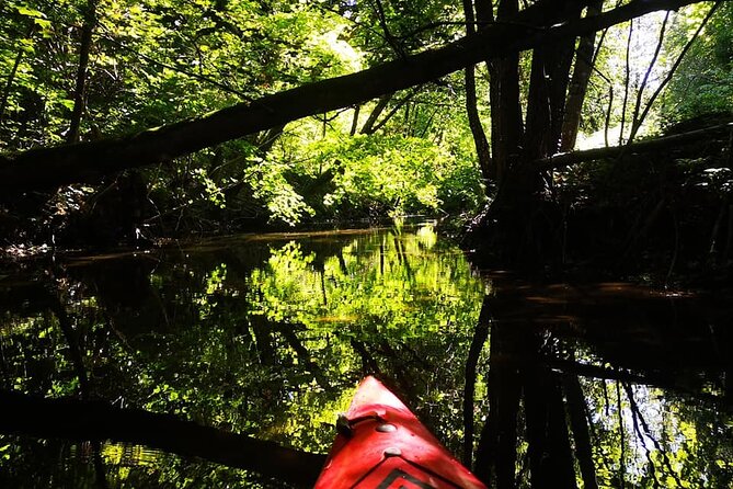 Guided Easy Family Route - Good To Know