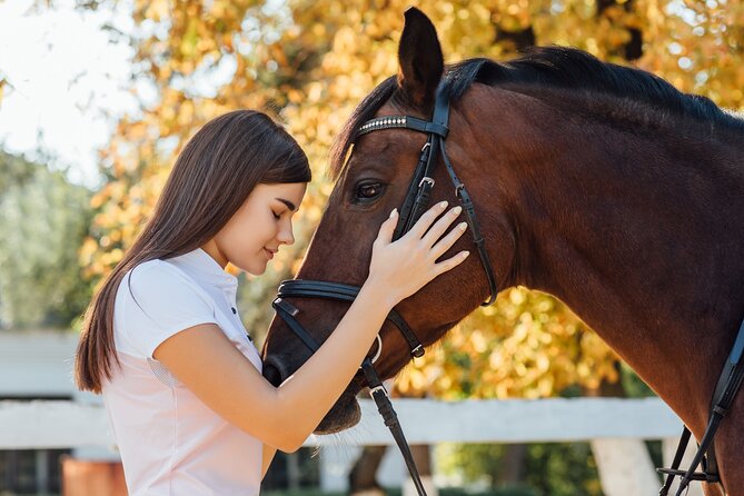 Guided Experience to Learn About Horses and Horse Care - Good To Know
