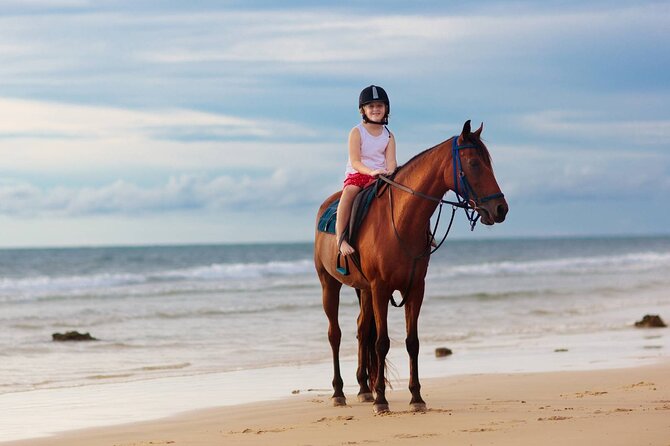 Guided Horseback Riding and Swimming at Hurghada Red Sea - Good To Know