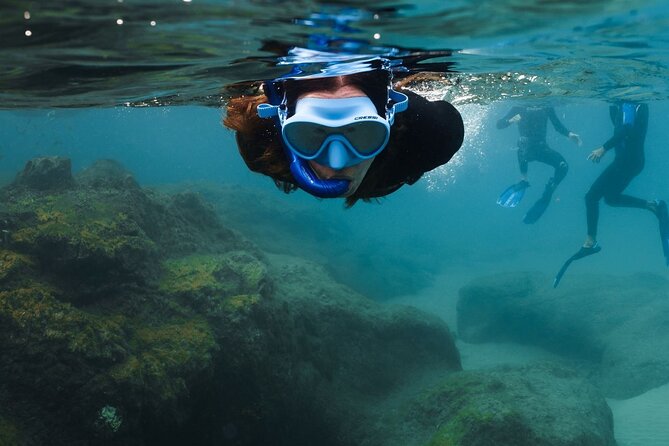 Guided Snorkeling Activity in Papagayo Beach Lanzarote - Good To Know