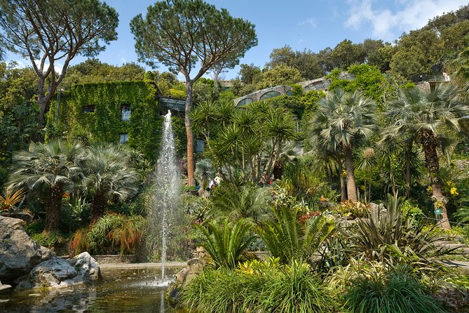 Guided Tour of La Mortella Gardens - Good To Know