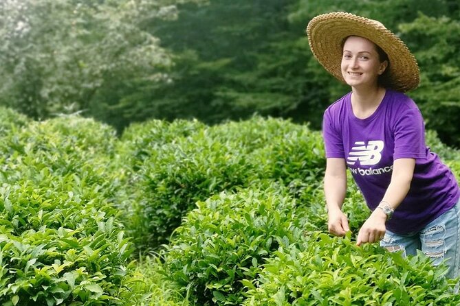 Guria Tour - Tea Road - Good To Know