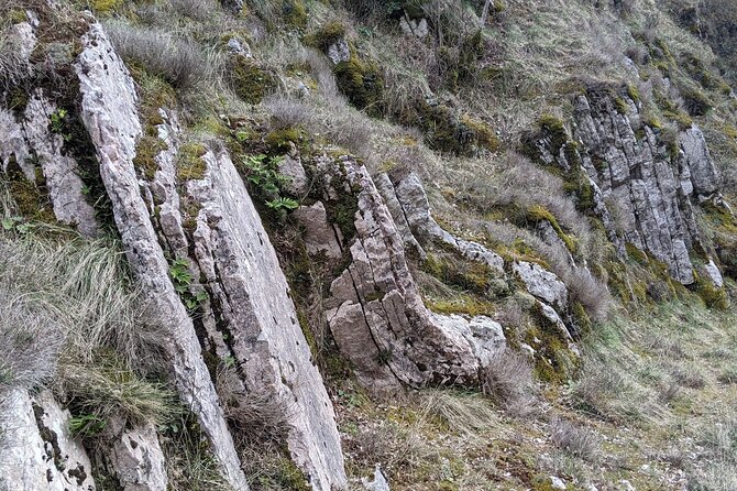 Half-Day Guided Hiking in Spoleto - Good To Know