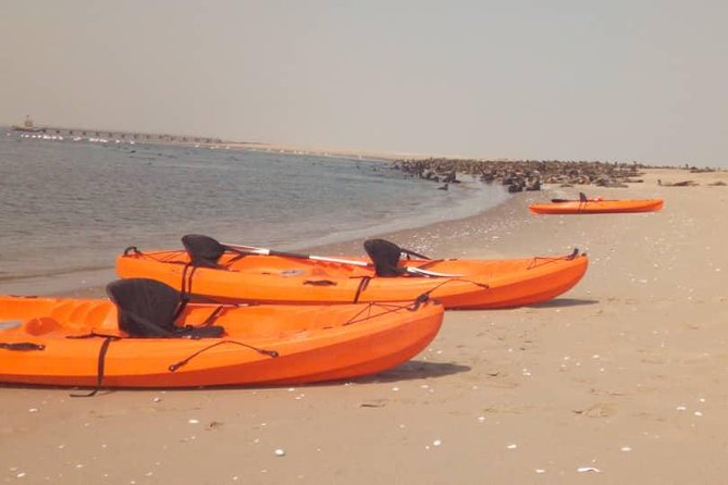 Half Day Kayaking Adventure in Walvis Bay - Good To Know