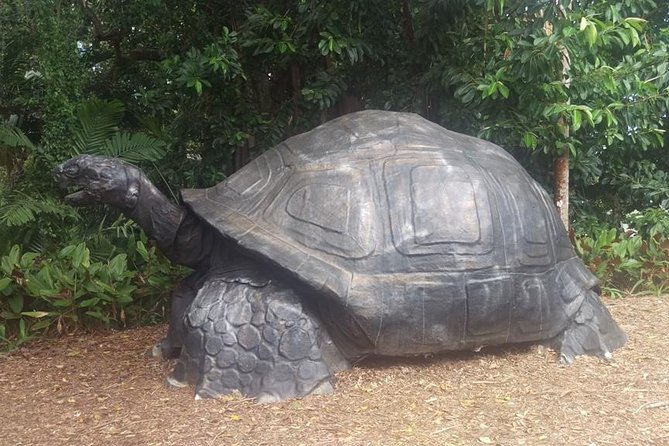14 Best Tours In Seychelles