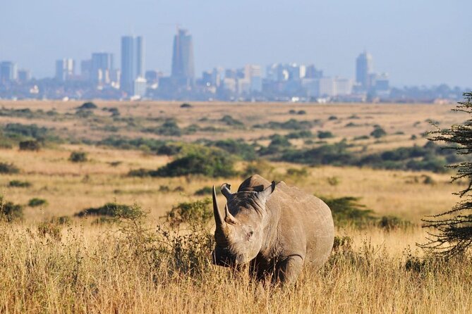 Half-Day Nairobi National Park Tour From Nairobi - Meeting and Pickup Details