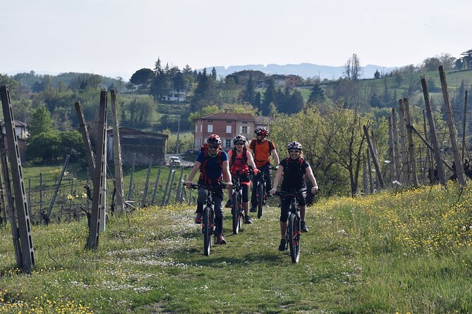 Half Day Private E Bike Tour in Parma - Good To Know