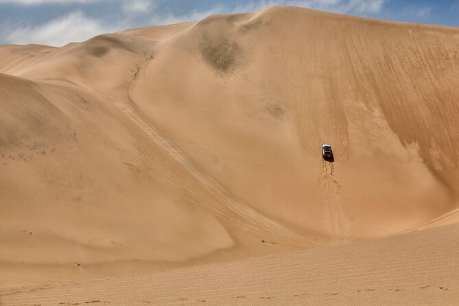 Half-Day Sandwich Harbour Tour From Walvis Bay With Lunch - Tour Itinerary