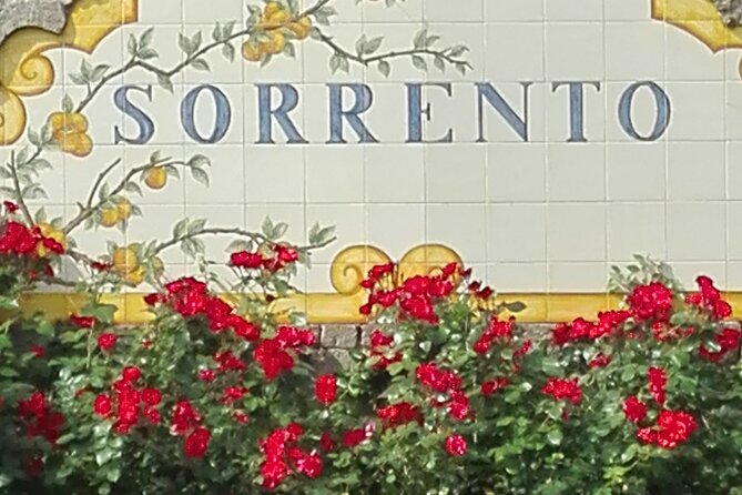 Half Day Tour to Pompeii From Sorrento - Good To Know