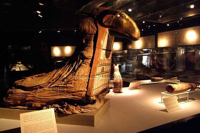 Half Day Tour Visit Luxor And Mummifications Museums - Mummifications Museum Experience