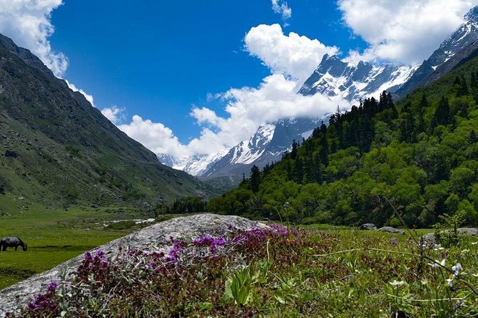 Har Ki Dun Trek by Himalaya Shelter - Good To Know