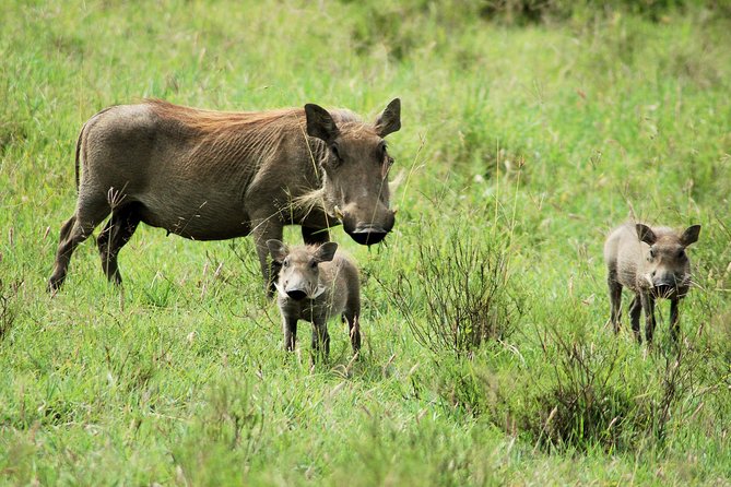 Hells Gate National Park Private Bike Tour From Nairobi