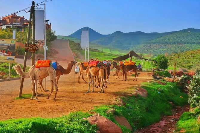 High Atlas Mountain Villages & Valleys Guided Day Trip From Marrakech - Trip Overview