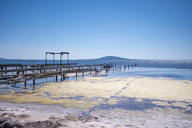Highlights of Sète, Food and Wine Tour - Good To Know