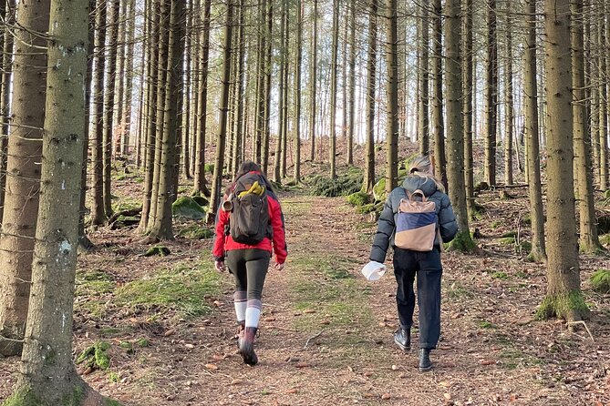 Hike With Wild Forage Surviving Tips and Local Lunch at the Lake - Good To Know