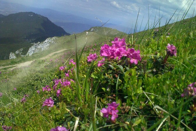Hiking : 7 Ladders Canyon -Piatra Mare Mountain From Brasov - Good To Know